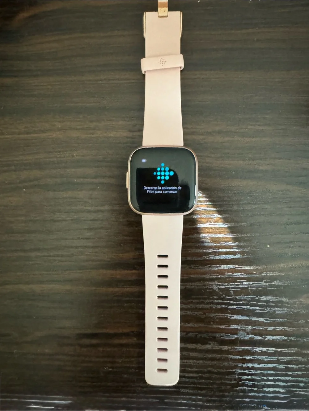 Fitbit Versa 2 Aluminum Case with Bronze Watch Band